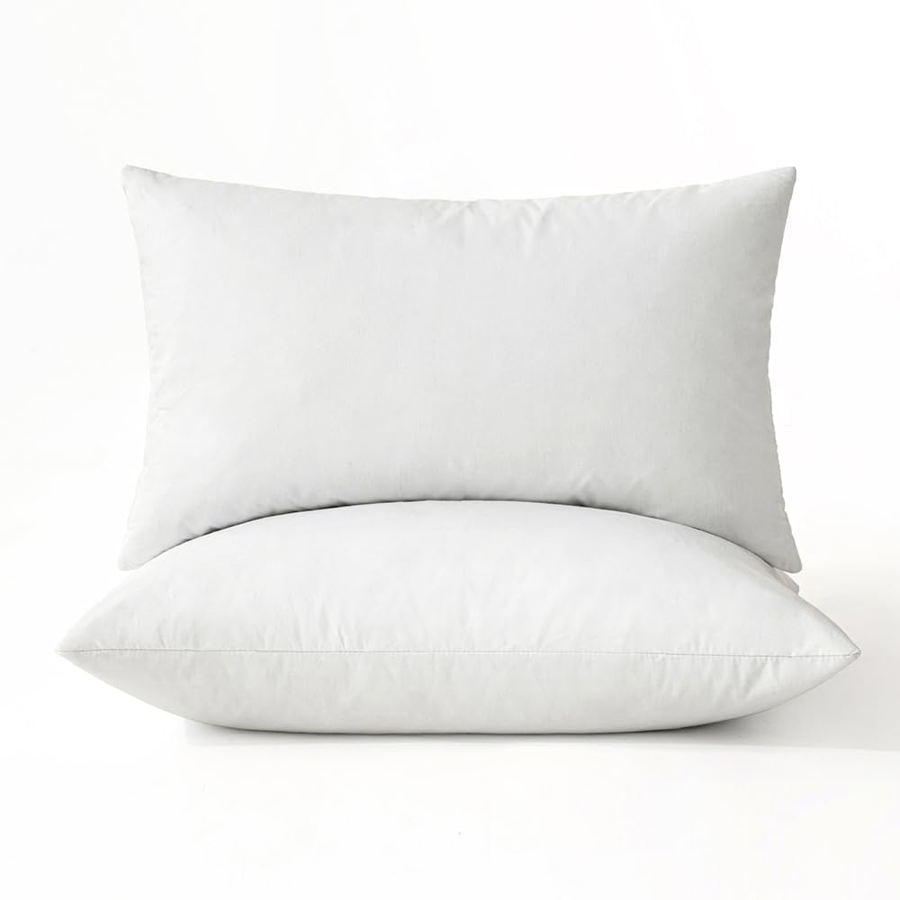 MIULEE 22x22 Pillow Inserts, Set of 2 Feather Down Throw Pillows