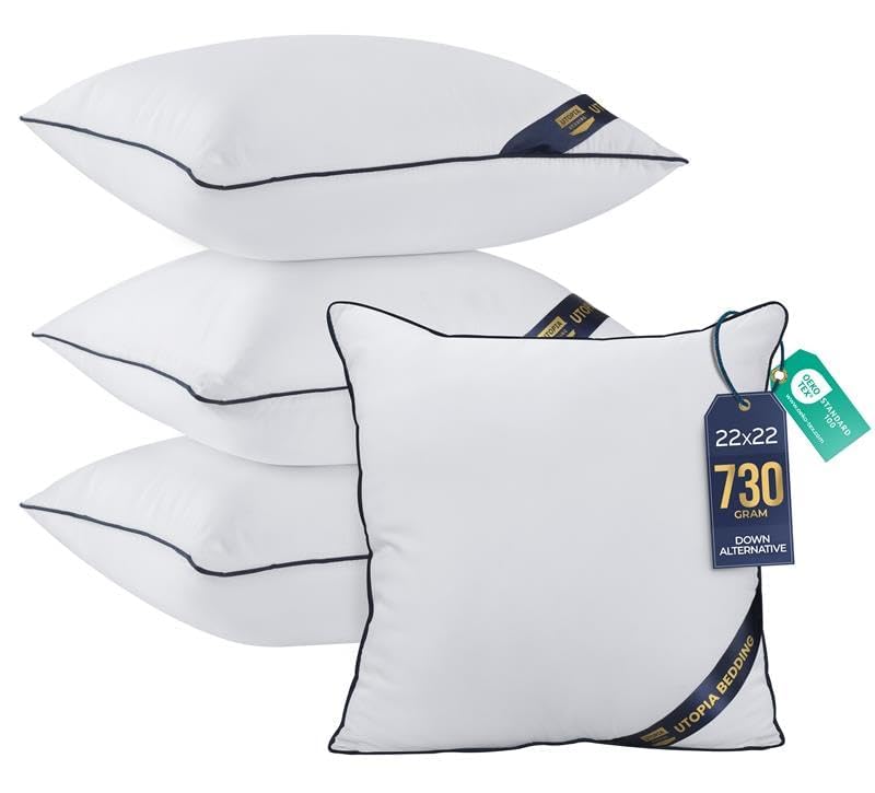 Premium Piping Throw Pillows 18x18, Decorative Pillow Inserts, 2-Pack