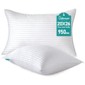 Oubonun 18 x 18 Throw Pillow Inserts Set of 2