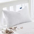 MIULEE 22x22 Pillow Inserts, Set of 2 Feather Down Throw Pillows