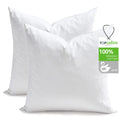TOPGREEN Feather Down Throw Pillow Inserts 18 x 18, Set of 2, 100% Organic Cotton Shell, Soft Decorative Square Pillows Insert for Living Room Sofa, Couch, or Bed (White)