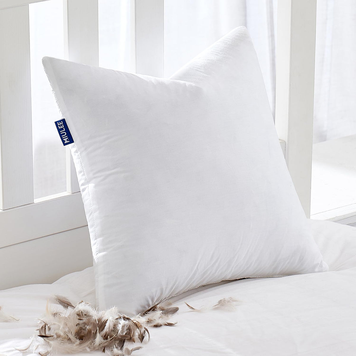 MIULEE 22x22 Pillow Inserts, Set of 2 Feather Down Throw Pillows