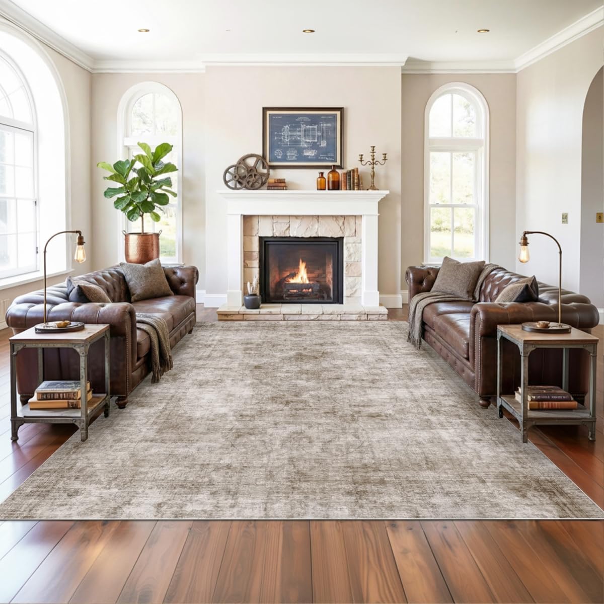 Homemate Washable Rug 8x10 Area Rugs - Vintage Rugs for Living Room