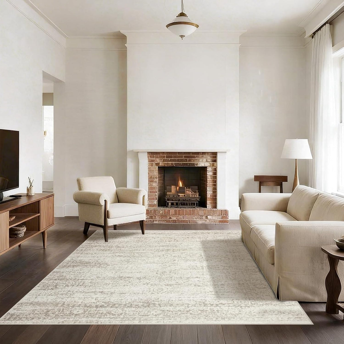 Washable Rugs 5x7 Area Rugs for Living Room,Bedroom,Dining Room Carpet