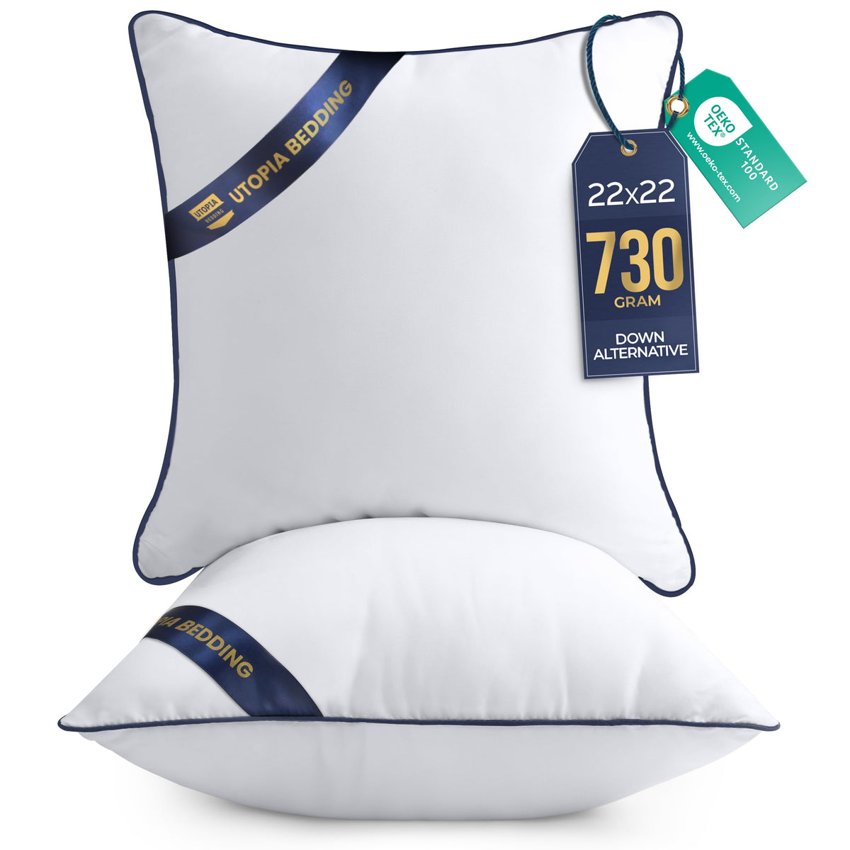 Premium Piping Throw Pillows 18x18, Decorative Pillow Inserts, 2-Pack