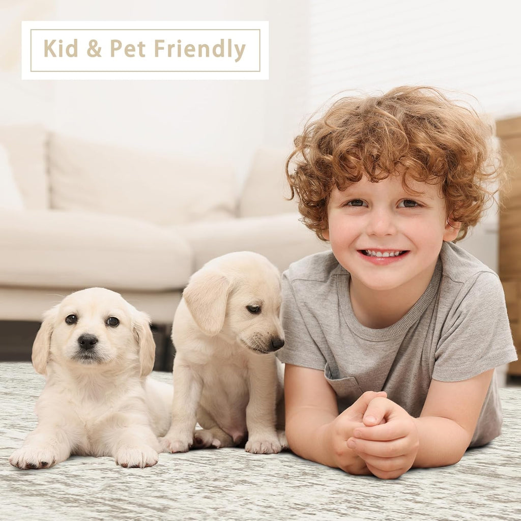 Washable Rugs 8x10 Area Rugs for Living Room,Bedroom,Dining Room Carpet