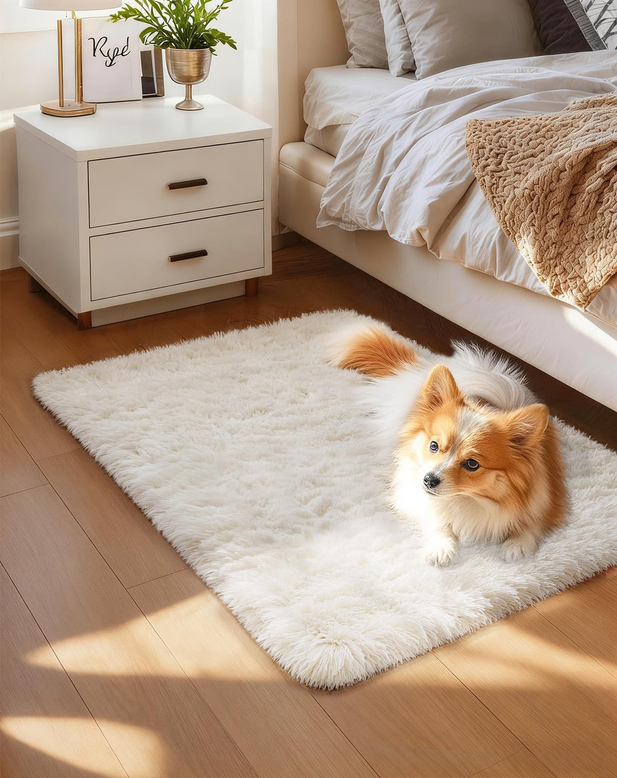 Ophanie Area Rugs for Living Room Bedroom, Washable Non-Slip Fluffy Soft Grey Shag Carpet, Indoor Floor Gray 4x6 Fuzzy Shaggy Living Room Plush Rug for Kids Home Dorm Decor Aesthetic