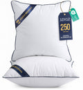 Premium Piping Throw Pillows 18x18, Decorative Pillow Inserts, 2-Pack