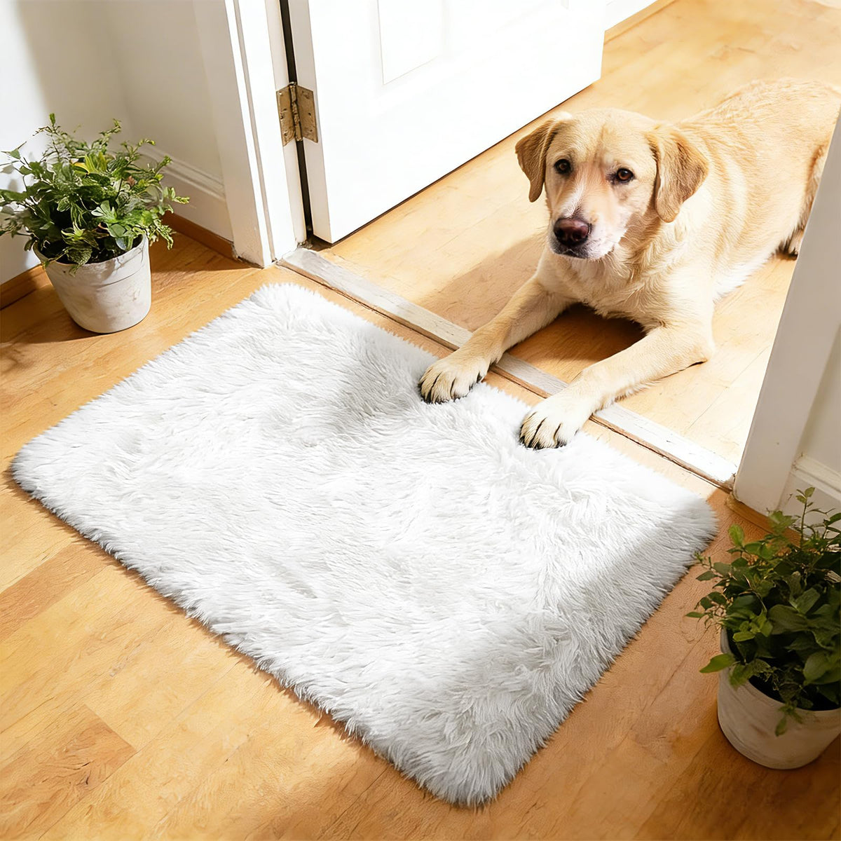 6x9 Black Fluffy Area Rug for Living Room,Large Shag Area Rugs for Bedroom
