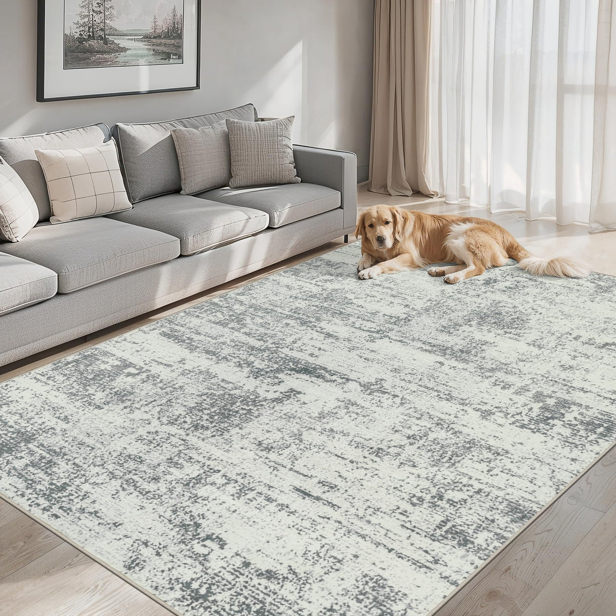 PLHXFR 8x10 Area Rug Living Room: Modern Abstract Washable Carpet Multi