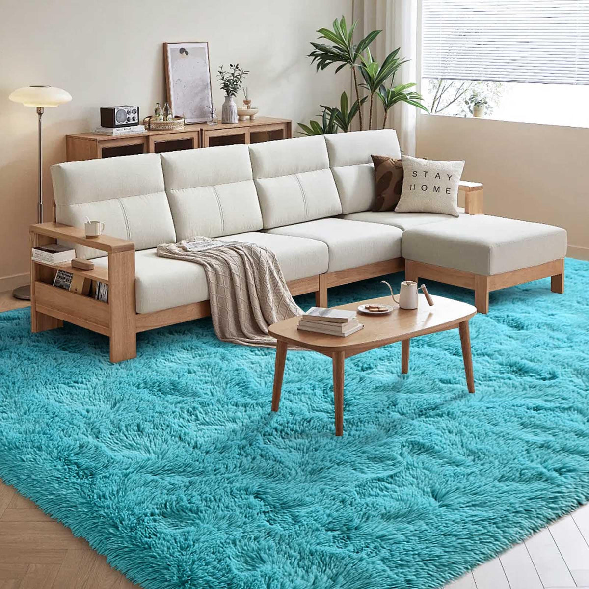 5x8 Area Rugs For Living Room Fluffy Black Rug For Bedroom (Black)