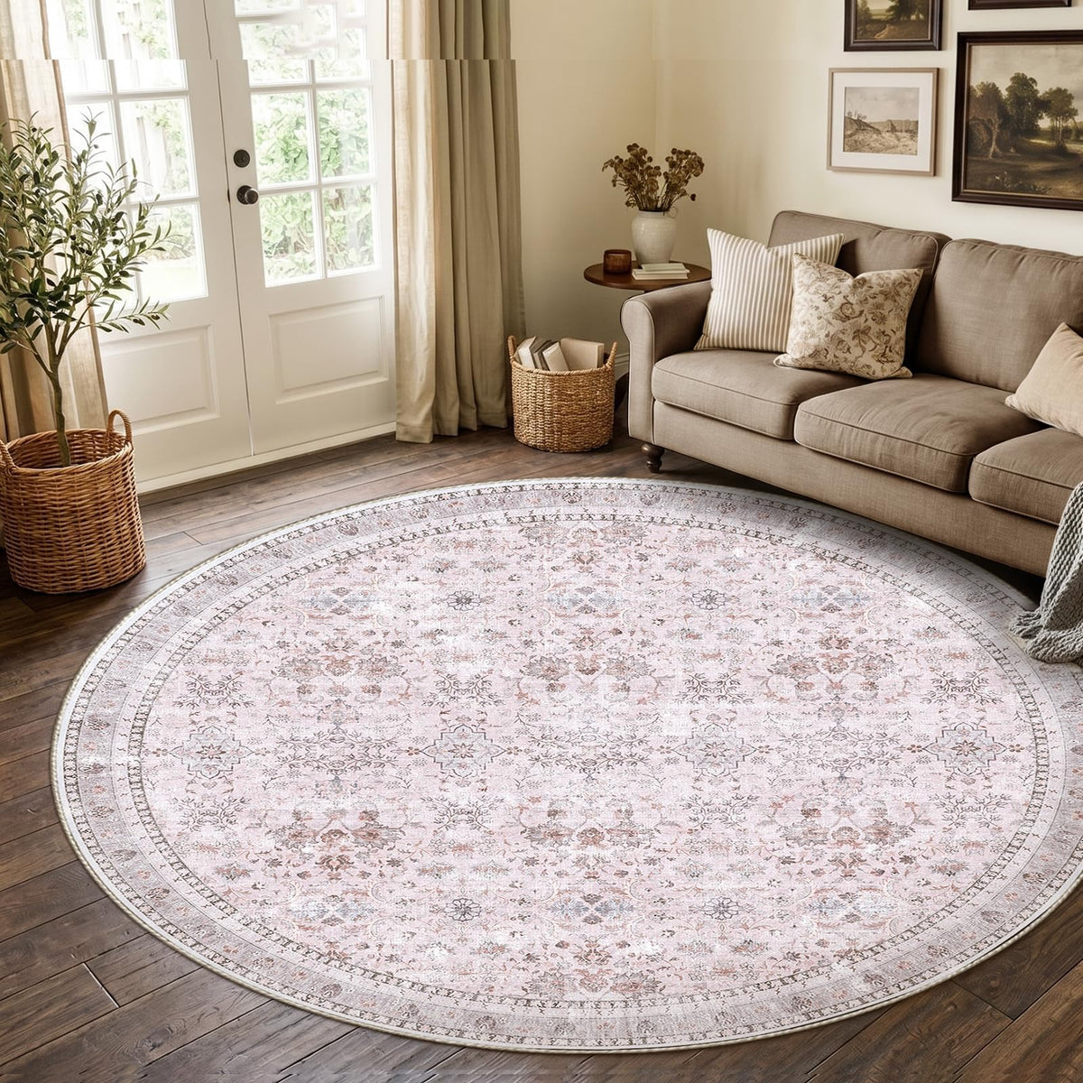Sasttie 4x6 Area Rugs, Ultra-Soft Washable Rug for Living Room, Beige