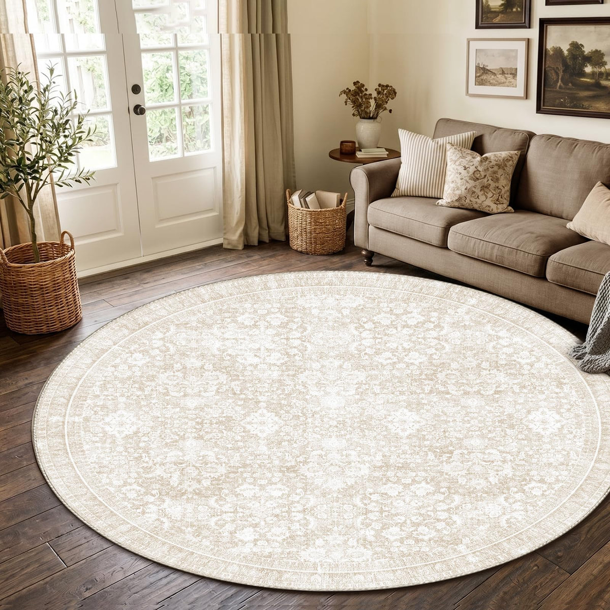 Sasttie 4x6 Area Rugs, Ultra-Soft Washable Rug for Living Room, Beige