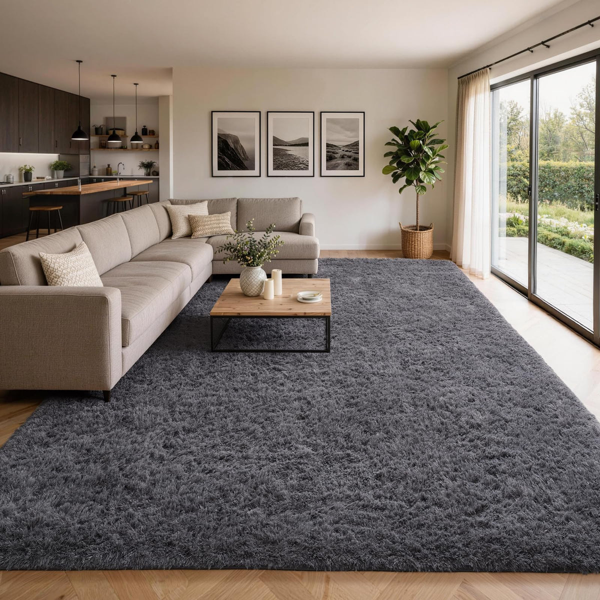Ophanie Area Rugs for Living Room Bedroom, Washable Non-Slip Fluffy Soft Grey Shag Carpet, Indoor Floor Gray 4x6 Fuzzy Shaggy Living Room Plush Rug for Kids Home Dorm Decor Aesthetic