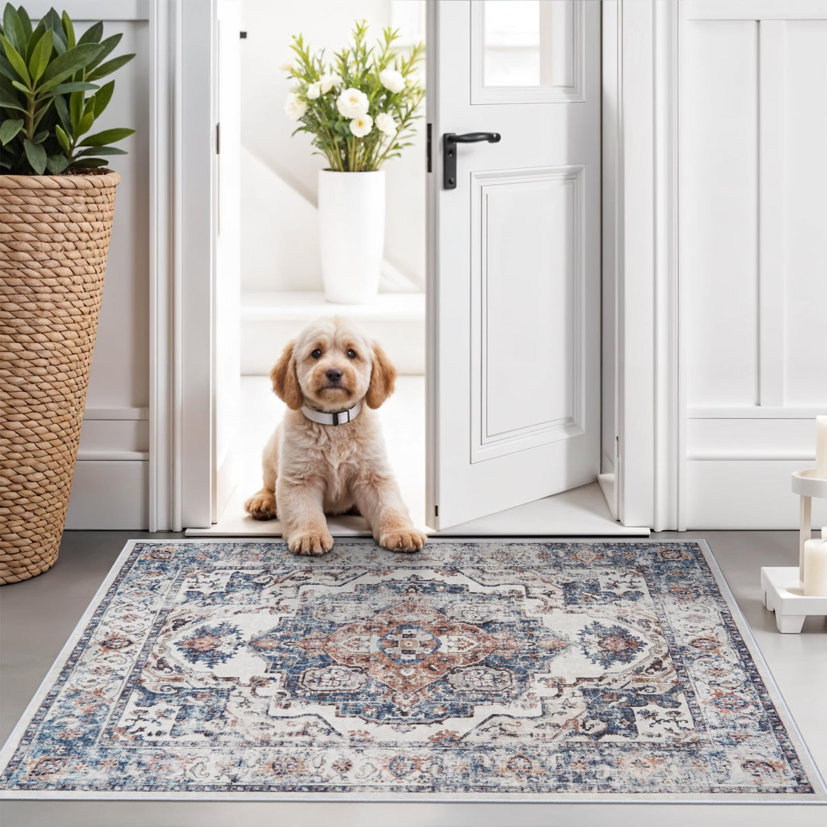 Hallway Washable Runner Rug - 2x10 Kitchen Rugs Entryway Rug Runner Vintage Soft Floor Mat Non Slip Indoor Farmhouse Carpet for Bathroom Living Room Bedroom (2 X 10, Beige)