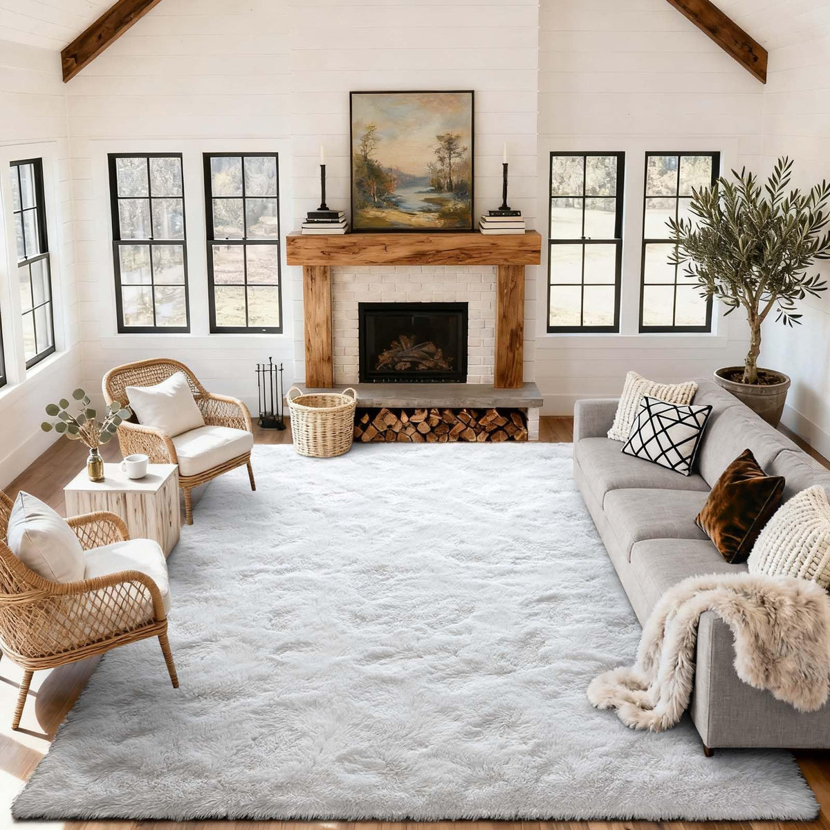 6x9 Ft Large Shag Rugs for Living Room Decor, Tie-Dyed Ultra Soft Fluffy Furry Area Rugs for Bedroom Indoor Floor, Aesthetic Carpet for Kids Home (Dark Grey)