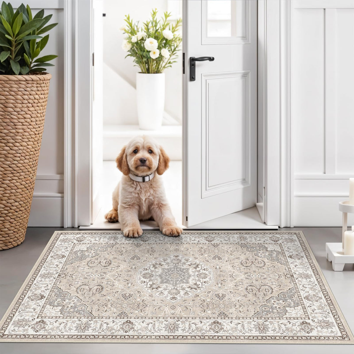 Hallway Washable Runner Rug - 2x10 Kitchen Rugs Entryway Rug Runner Vintage Soft Floor Mat Non Slip Indoor Farmhouse Carpet for Bathroom Living Room Bedroom (2 X 10, Beige)