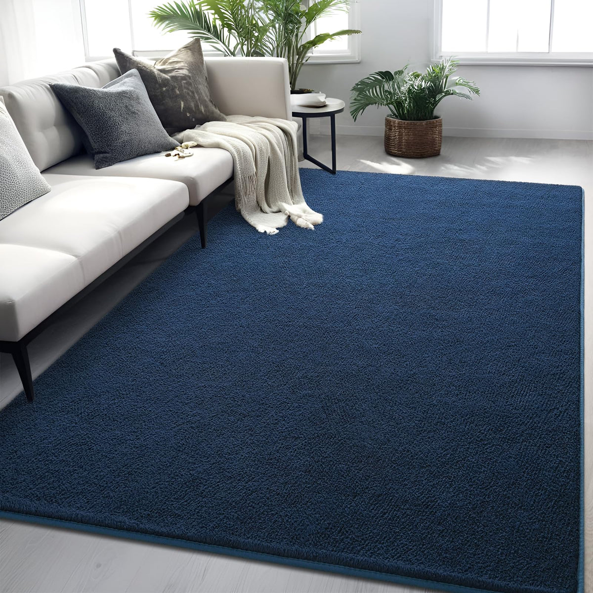 5x7 Black Area Rug Modern Aesthetic Minimalist