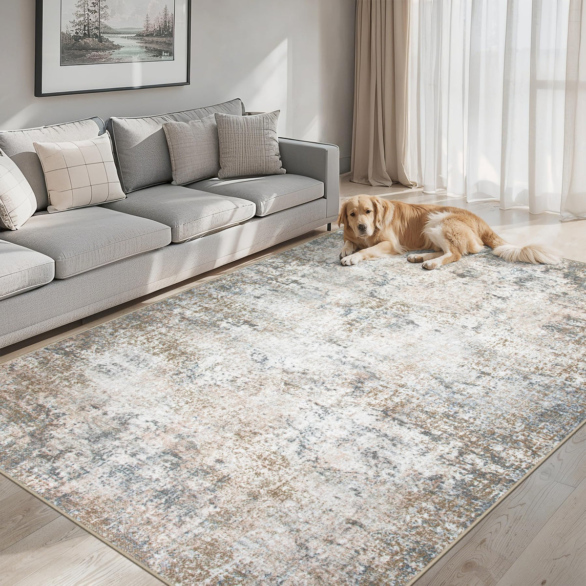 PLHXFR 8x10 Area Rug Living Room: Modern Abstract Washable Carpet Multi