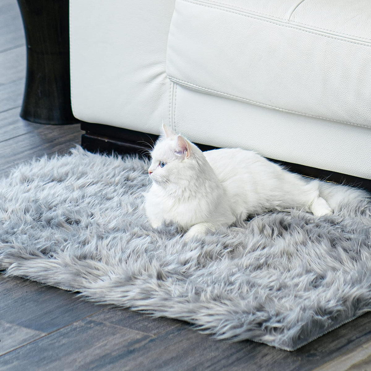 Ophanie Small Rug Upgrade Non Slip Throw Bedside Area Rugs, Fluffy Soft Grey Mini Bedroom Carpet, Affordable Door Entryway Indoor Inside Front Entrance Dog 2x3 Mat, Home Decor Aesthetic, Nursery