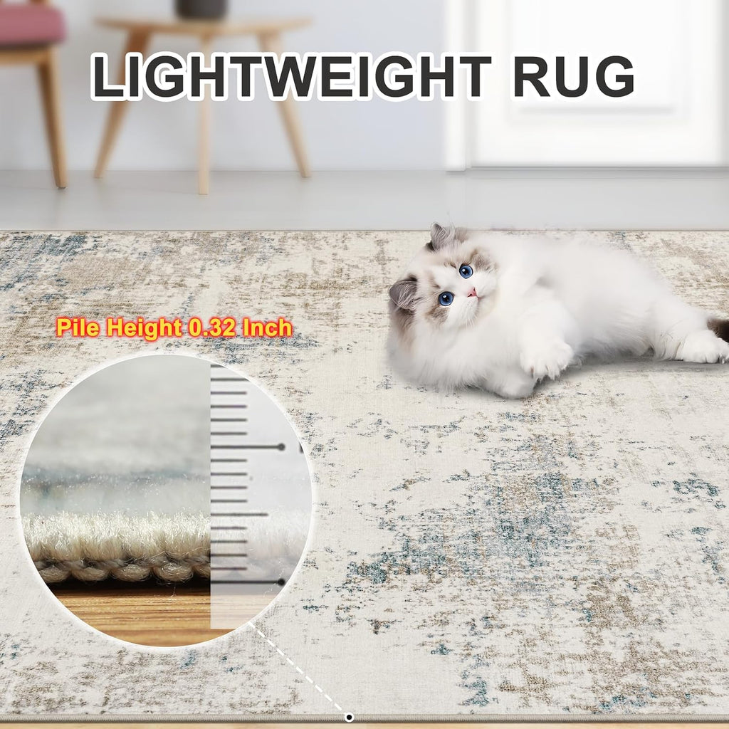 PLHXFR 8x10 Area Rug Living Room: Modern Abstract Washable Carpet Multi
