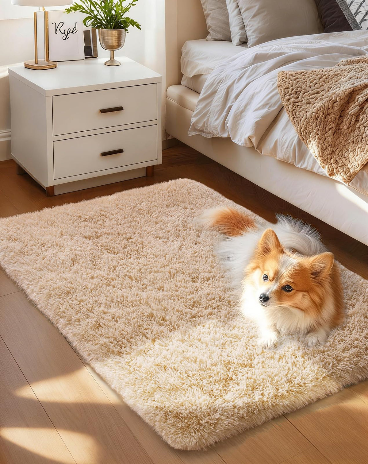 Ophanie Area Rugs for Living Room Bedroom, Washable Non-Slip Fluffy Soft Grey Shag Carpet, Indoor Floor Gray 4x6 Fuzzy Shaggy Living Room Plush Rug for Kids Home Dorm Decor Aesthetic