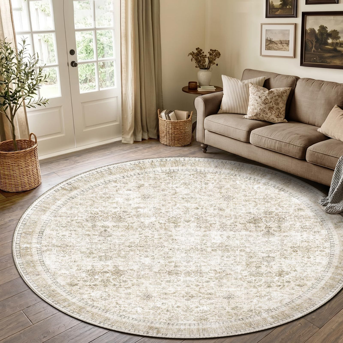 Sasttie 4x6 Area Rugs, Ultra-Soft Washable Rug for Living Room, Beige