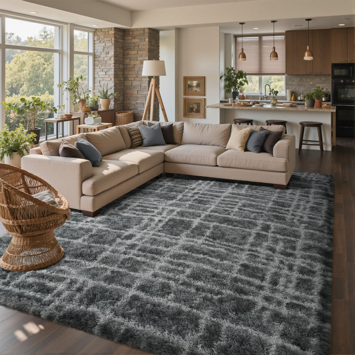 6x9 Ft Large Shag Rugs for Living Room Decor, Tie-Dyed Ultra Soft Fluffy Furry Area Rugs for Bedroom Indoor Floor, Aesthetic Carpet for Kids Home (Dark Grey)