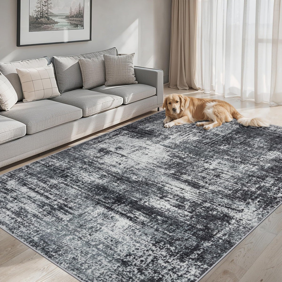 PLHXFR 8x10 Area Rug Living Room: Modern Abstract Washable Carpet Multi