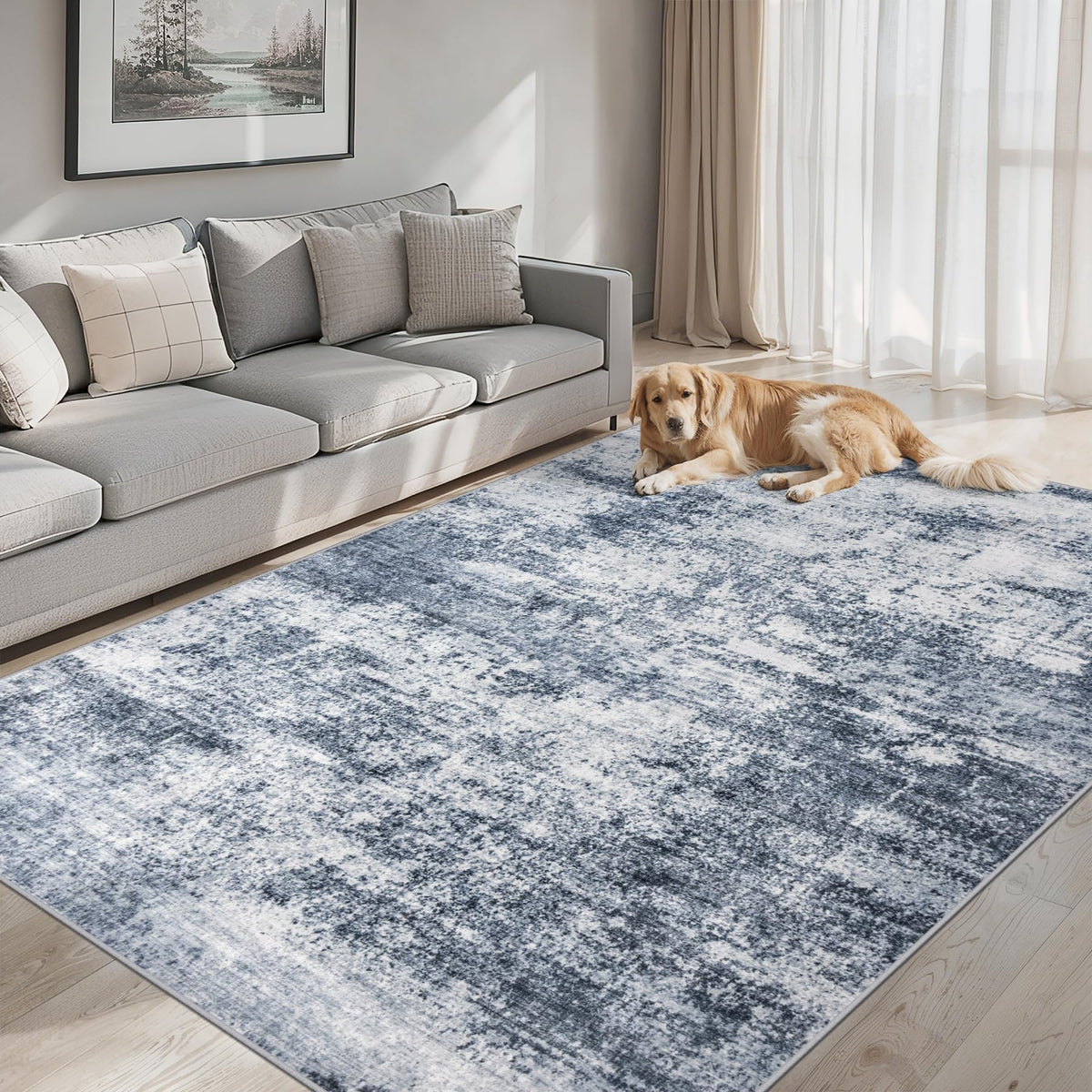 PLHXFR 8x10 Area Rug Living Room: Modern Abstract Washable Carpet Multi