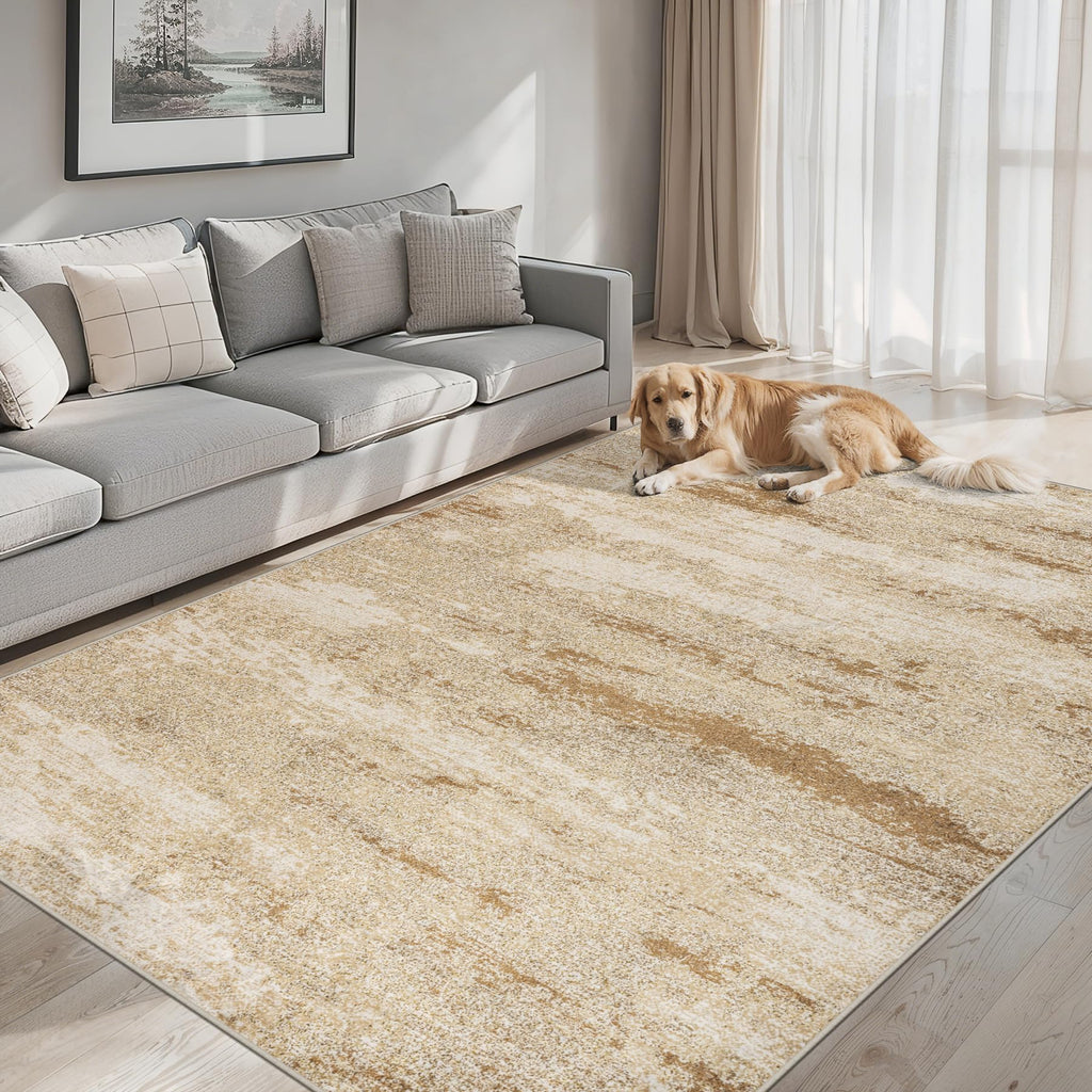 PLHXFR 8x10 Area Rug Living Room: Modern Abstract Washable Carpet Multi