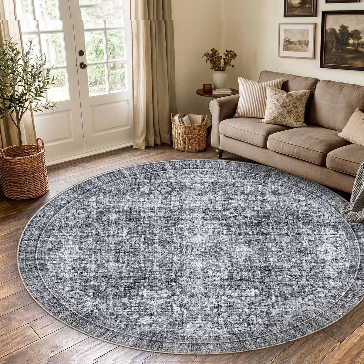 Sasttie 4x6 Area Rugs, Ultra-Soft Washable Rug for Living Room, Beige