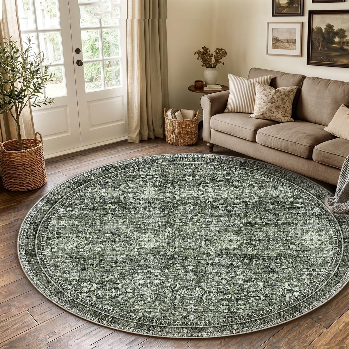 Sasttie 4x6 Area Rugs, Ultra-Soft Washable Rug for Living Room, Beige