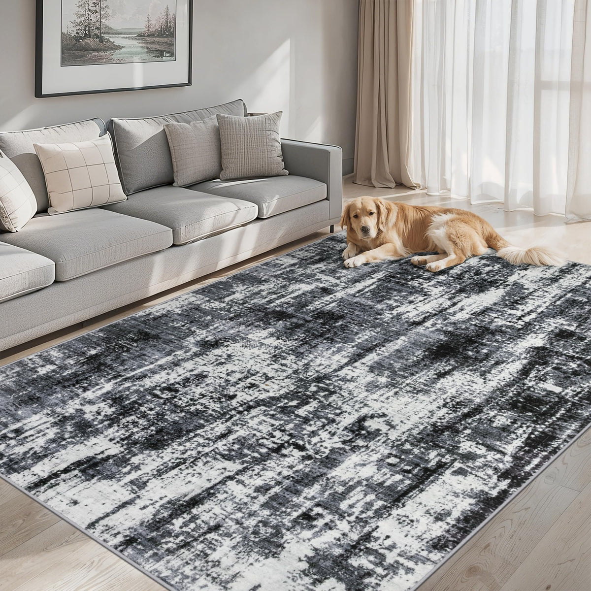 PLHXFR 8x10 Area Rug Living Room: Modern Abstract Washable Carpet Multi
