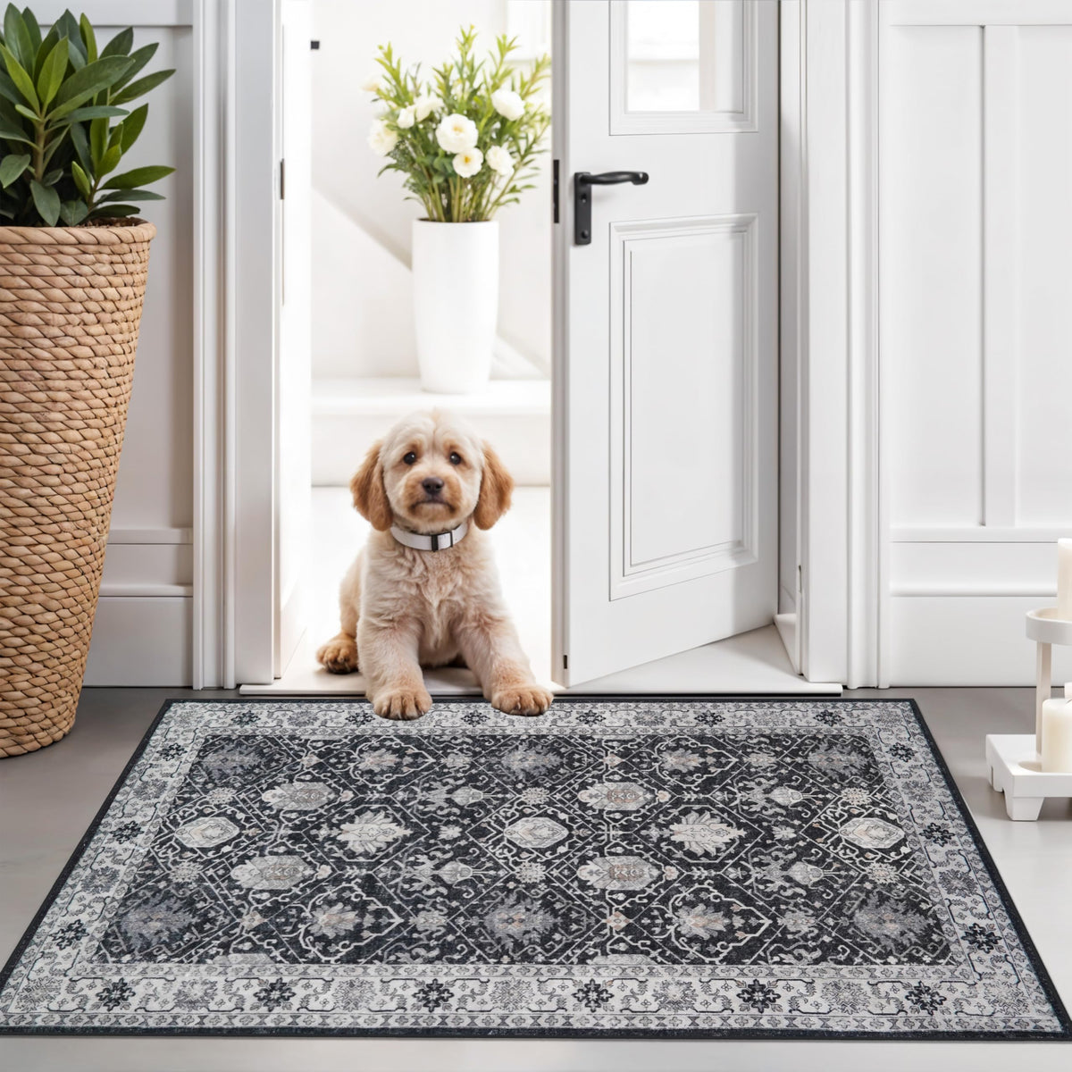 Hallway Washable Runner Rug - 2x10 Kitchen Rugs Entryway Rug Runner Vintage Soft Floor Mat Non Slip Indoor Farmhouse Carpet for Bathroom Living Room Bedroom (2 X 10, Beige)