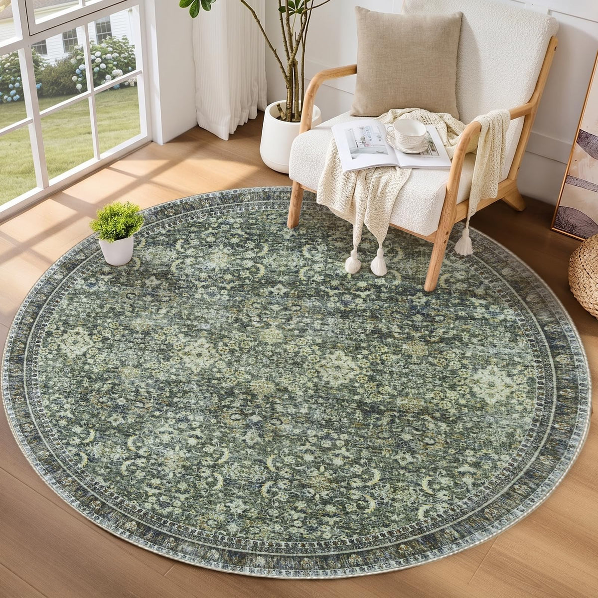 Sasttie 4x6 Area Rugs, Ultra-Soft Washable Rug for Living Room, Beige