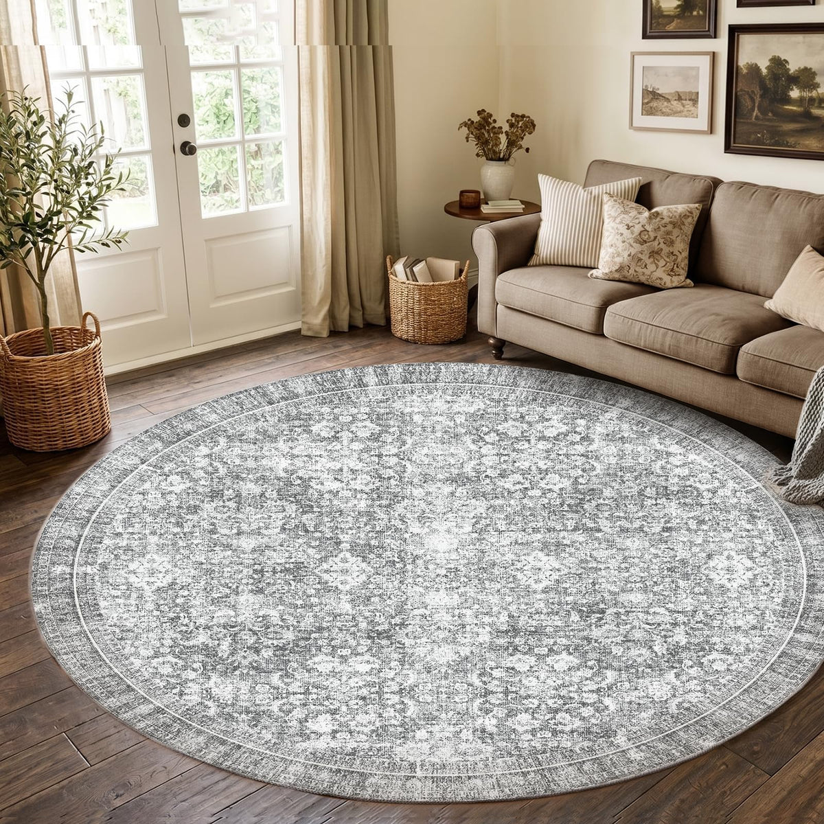 Sasttie 4x6 Area Rugs, Ultra-Soft Washable Rug for Living Room, Beige