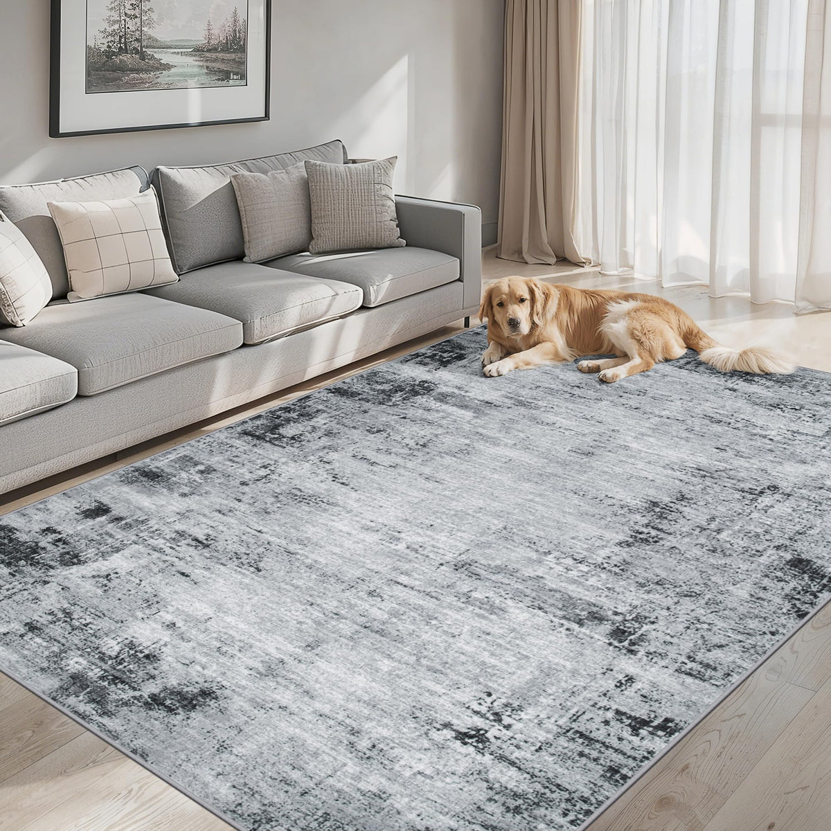 PLHXFR 8x10 Area Rug Living Room: Modern Abstract Washable Carpet Multi